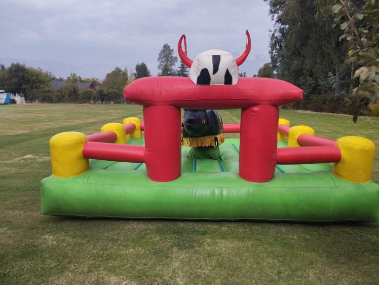 WhatsApp Image 2024-07-08 at 8.37.22 PM (2)