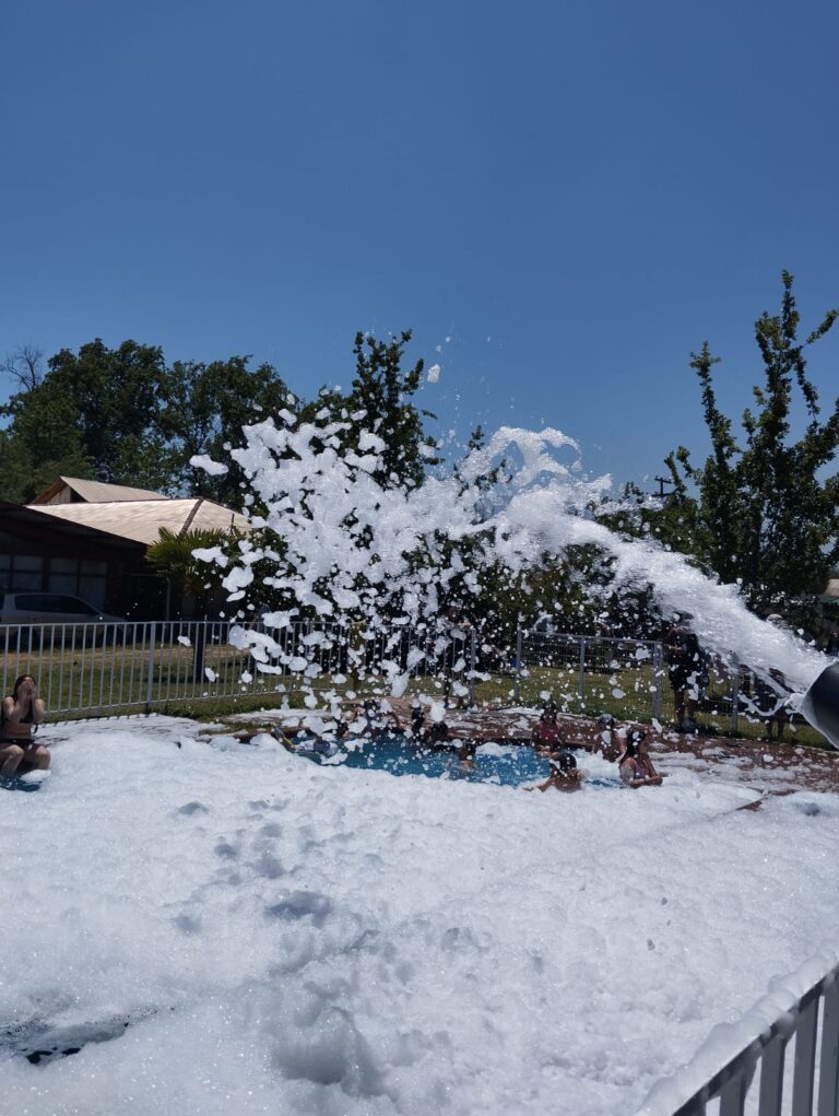 WhatsApp Image 2024-07-08 at 8.37.36 PM